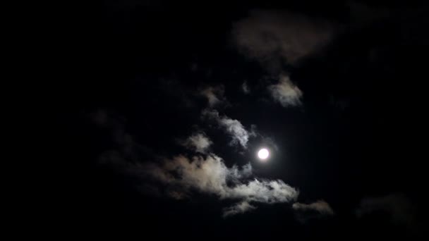 羊毛質の雲と月明かりに照らされた夜が暗く青い空に渡します — ストック動画