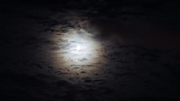 Księżycowa noc z chmury kędzierzawy przechodzi na ciemny niebieski niebo — Wideo stockowe