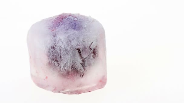 Red ripe cherry fruit (berry) inside of melting ice cube — Stock Video