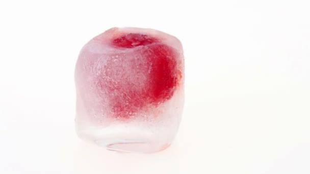 One raspberry berry inside of melting ice cube — Stock Video