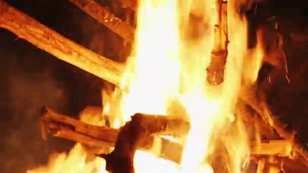 Charming bonfire flame blazing in the night, closeup view — Stock Video