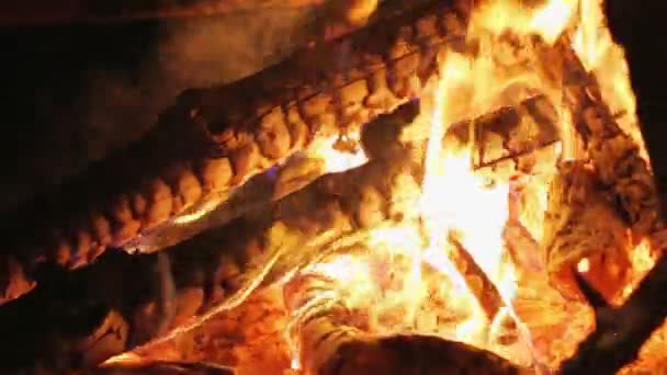 Charming bonfire flame blazing in the night, closeup view — Stock Video