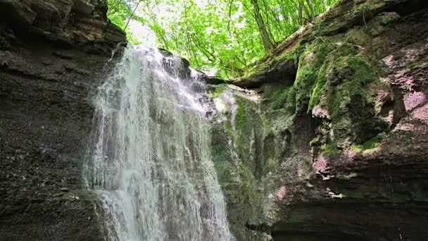 Forest waterval vallen op rotsachtige klip in zonnige zomerdag — Stockvideo
