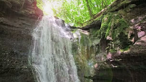 Forest waterfall falling on rocky cliff in sunny summer day with sudden rain — Stock Video