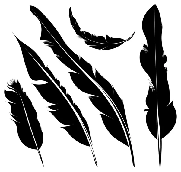 Silhouette de plumes — Image vectorielle