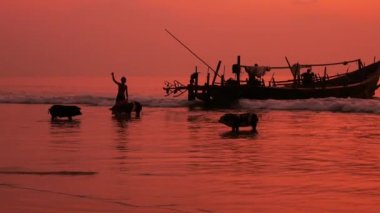 Domuzlar ticaret Ngwe Saung tekne