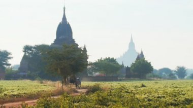 Bagan Myanmar antik tapınakları