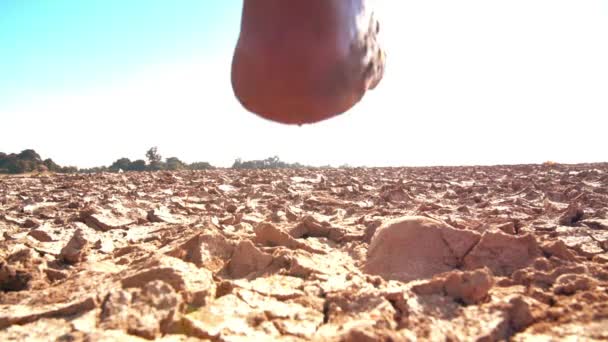 Hombre descalzo camina en tierra firme — Vídeo de stock