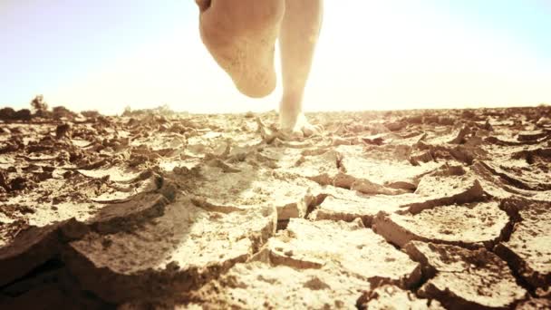 Pés caminham em terra seca do deserto — Vídeo de Stock