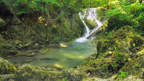 Mooie kleine rotsachtige kreek met waterval — Stockvideo