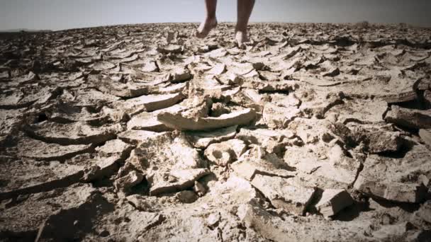 Άνθρωπος που περπατά στην έρημο και πέφτει — Αρχείο Βίντεο