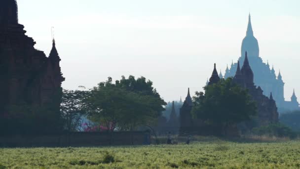 Geweldig landschap van Bagan site in Birma. — Stockvideo