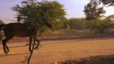 Toprak yolda Retro at arabası