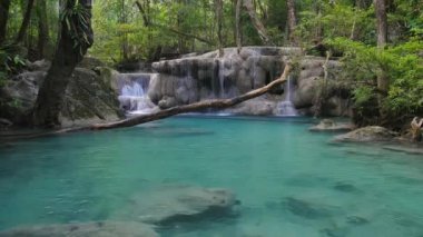 wild rainforest with exotic tropical waterfalls