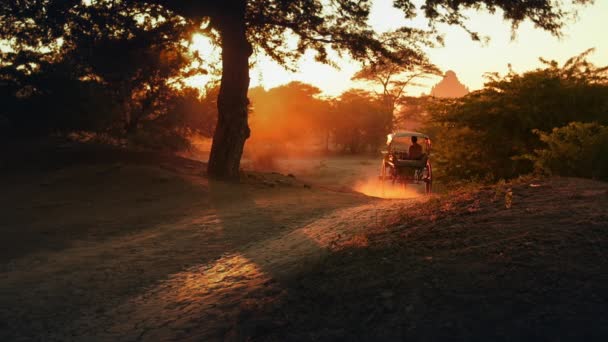 Ancien site historique Bagan — Video