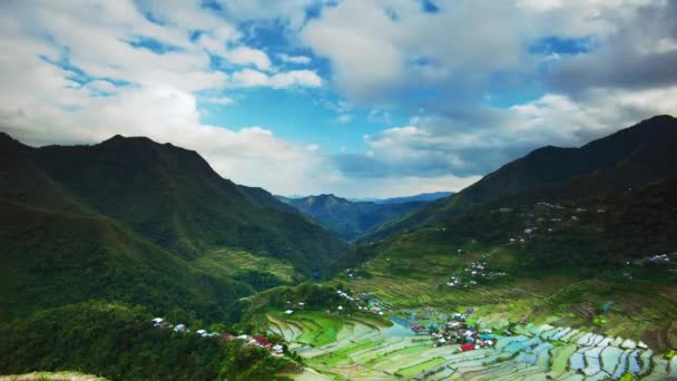 Landschap van rijstterrassen — Stockvideo