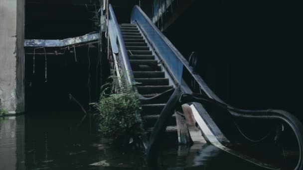 Εγκαταλελειμμένο και πλημμυρισμένο εμπορικό κέντρο — Αρχείο Βίντεο