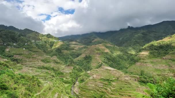 Reisterrassen auf den Philippinen — Stockvideo