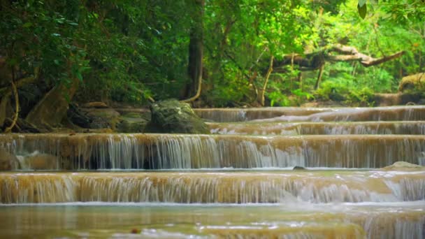 Дикие леса с экзотическими тропическими водопадами — стоковое видео