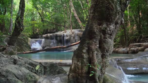 Wild rainforest with exotic tropical waterfalls — Stockvideo