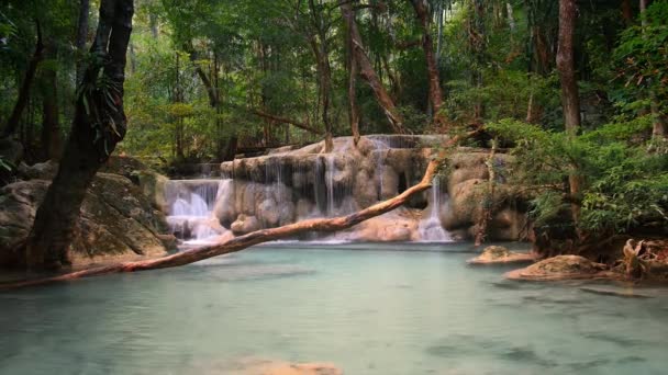 Wild rainforest with exotic tropical waterfalls — ストック動画