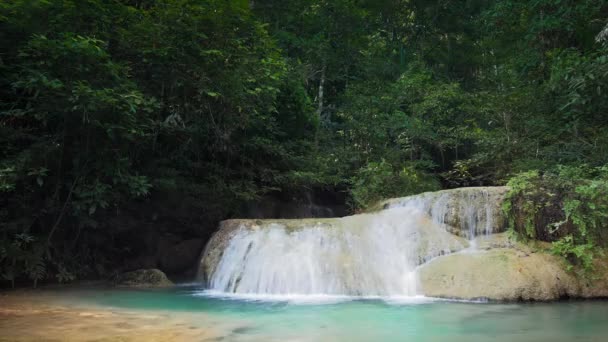 Дикие леса с экзотическими тропическими водопадами — стоковое видео