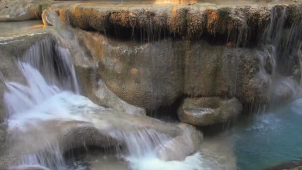 Wild rainforest with exotic tropical waterfalls — Stock Video