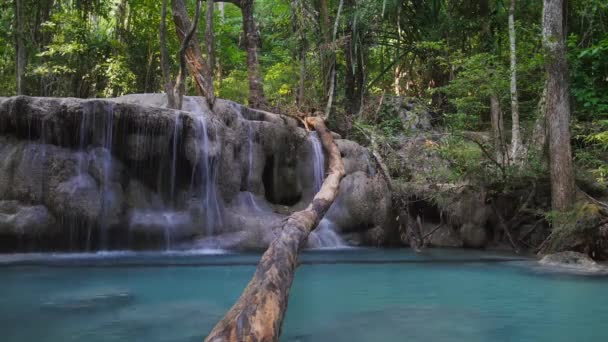 Wild rainforest with exotic tropical waterfalls — ストック動画