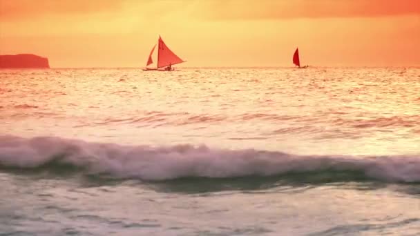 Sail boat yachts cruising on horizon — Stock Video