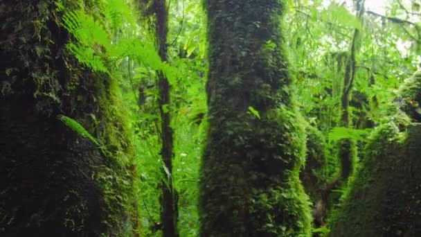 Nature panoramique arrière-plan extérieur .
