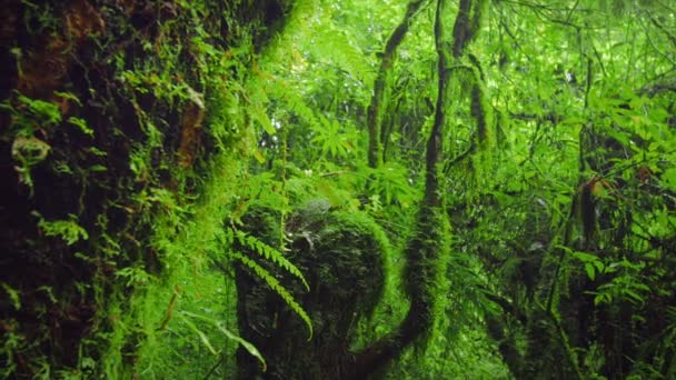 Nature panoramique arrière-plan extérieur .