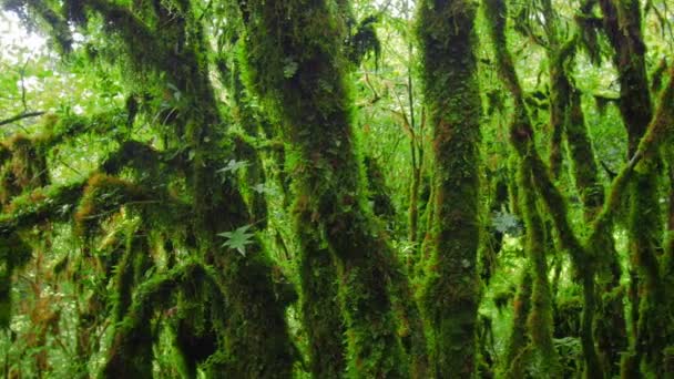 Nature panoramique arrière-plan extérieur .