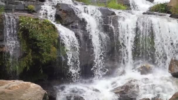 Río de montaña arroyo — Vídeos de Stock