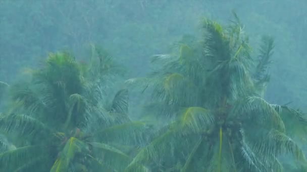 De fortes pluies pendant la mousson en Asie — Video