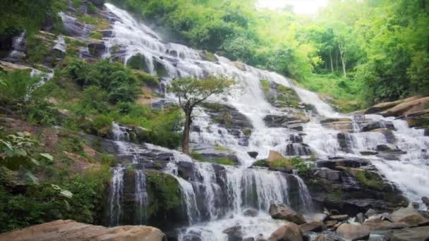 Waterfall in tropical forest — Stock Video