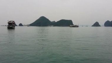 Halong Körfezi Vietnam.