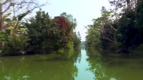 Paseo en barco por el bosque lluvioso — Vídeo de stock