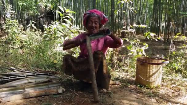 Etikai törzs idős asszony — Stock videók