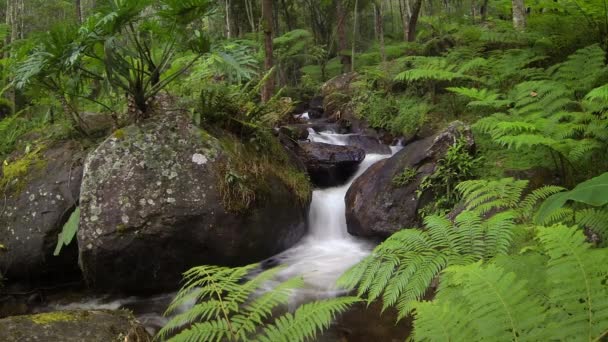 Pequeño chorro de agua con cascada — Vídeos de Stock