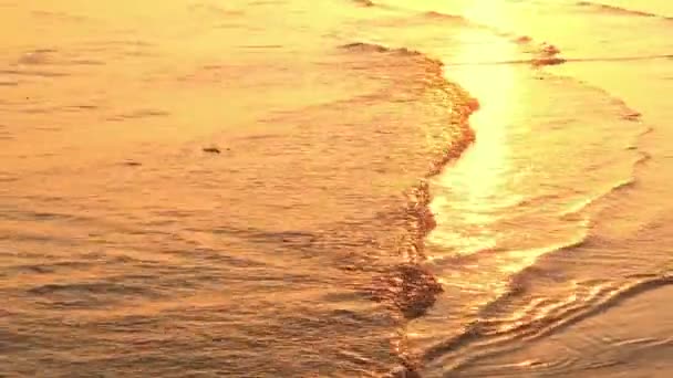 Oceano ondas de praia na praia — Vídeo de Stock