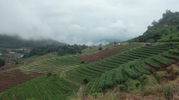 泰国北部的高地 — 图库视频影像