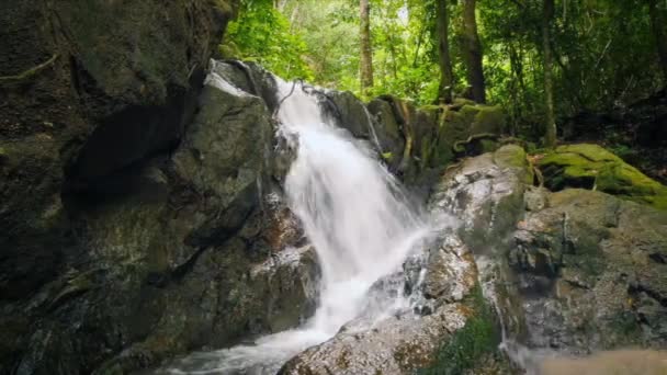 Dolly slider video shot of small waterfall in tropical rain forest — Stock Footage Dolly slider video shot of small waterfall in tropical rain forest Video Clip