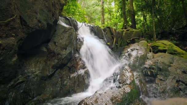 Corrida de vídeo dolly slider de pequeña cascada en la selva tropical — Vídeo de stock