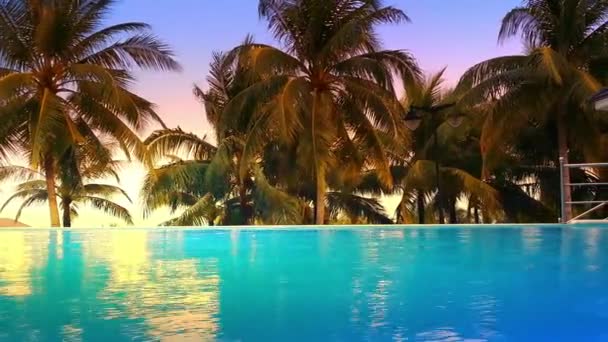Luxury hotel pool with blue water and palm trees around. Tropical island — Stock Footage Luxury hotel pool with blue water and palm trees around. Tropical island Royalty Free Stock Video