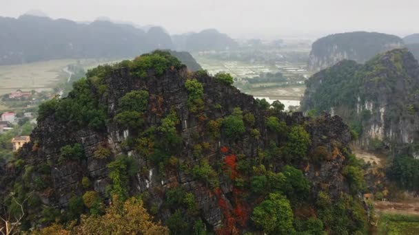 Vackra naturen i vietnam. — Stockvideo