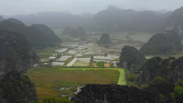 Blick auf die Landschaft Reisfelder und Felsen — Stockvideo