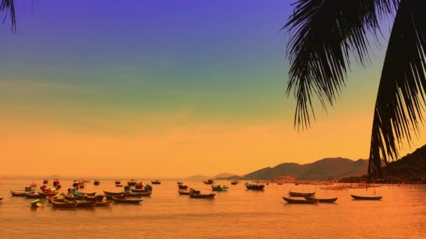 Ciepłe kolory tropikalnej plaży zachód słońca na lato — Wideo stockowe