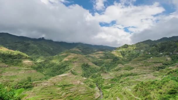 Berühmte Banaue-Reisterrassen — Stockvideo