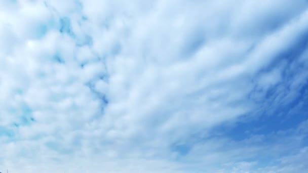 Ciel bleu avec des nuages blancs — Video