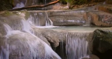 tropikal yağmur ormanları Cascade'lerde şelale